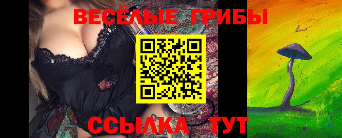 Псилоцибиновые грибы Psilocybine cubensis  Вход с VPN  купить наркотик  Медногорск  Галлюциногенные грибы GOLDEN TEACHER 
